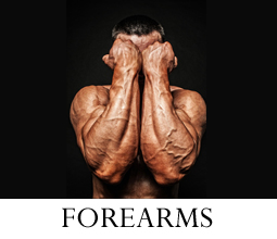 Forearms